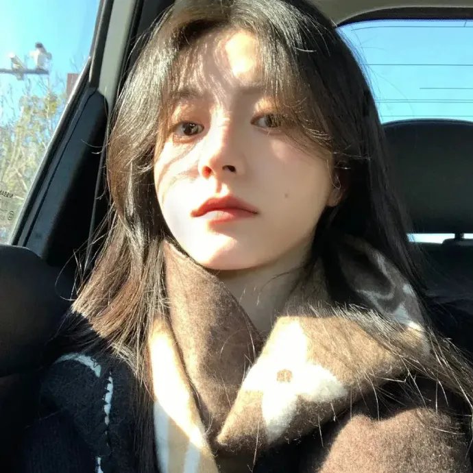 凤栖凤息回故乡